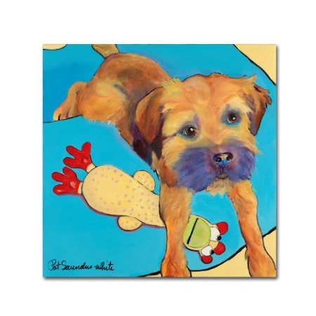 Pat Saunders-White 'Favorite Toy' Canvas Art,24x24